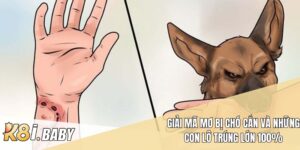 Mơ Bị Chó Cắn